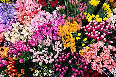 E3 2021大奖公布：《极限竞速：地平线5》成最受期待游戏