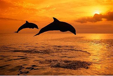 传闻：《荒野大镖客2》次世代补丁即将到来